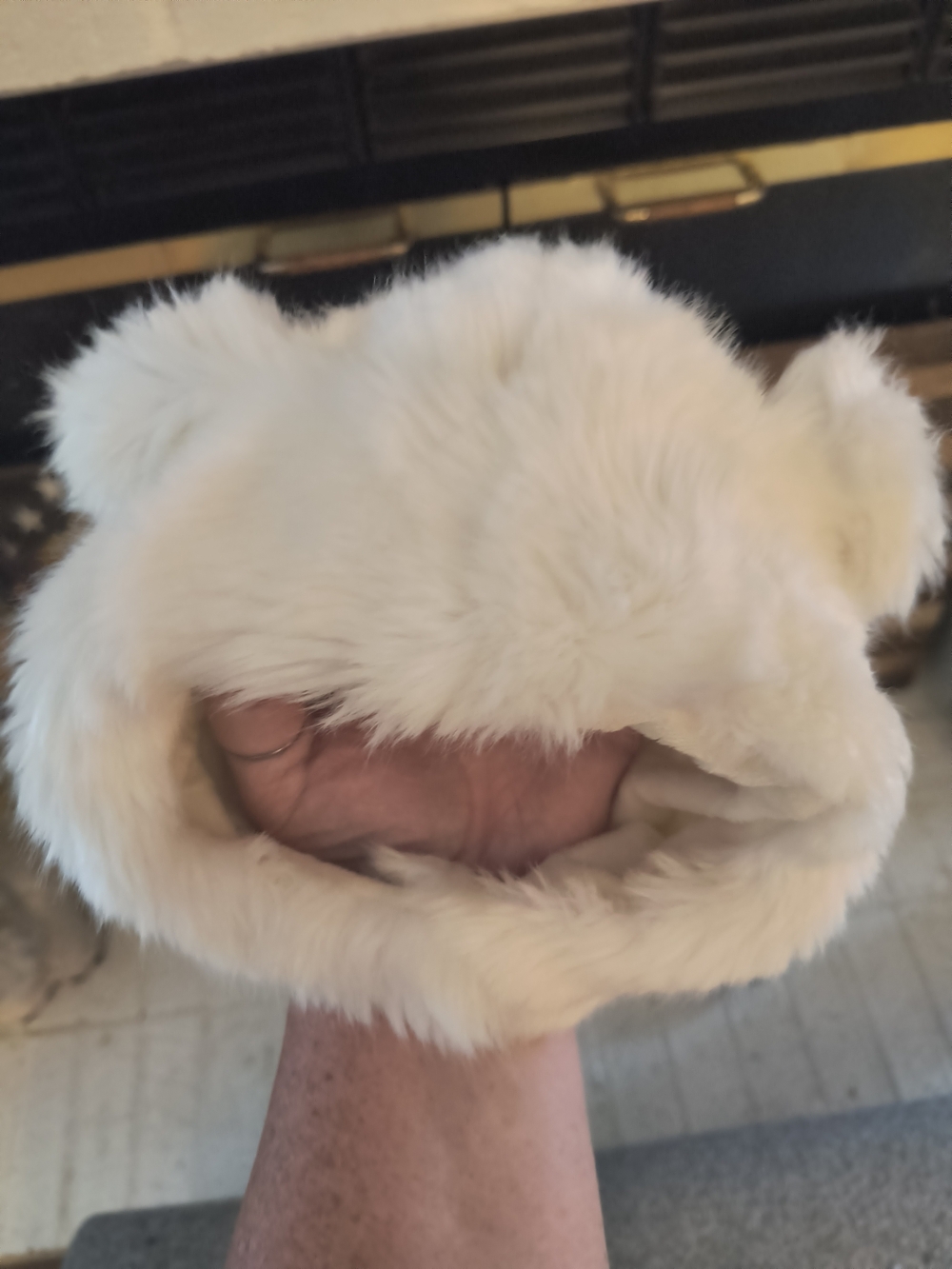 Plush Faux Fur Bear Ear Hat - White